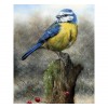 Blue & Yellow Bird 5D DIY Paint By Diamond Kit
