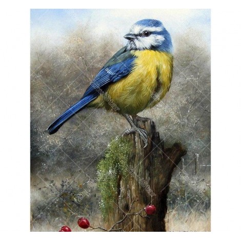 Blue & Yellow Bird 5D DIY Paint By Diamond Kit