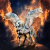 White horse 5D DIY Paint By Diamond Kit