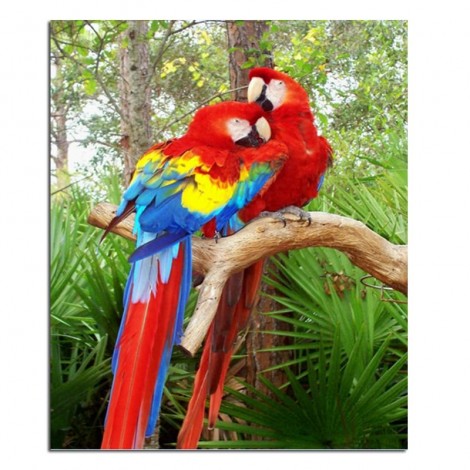 Two Red Parrots 5D DIY Paint By Diamond Kit