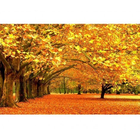 Autumn Forest 5D DIY Paint By Diamond Kit