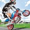 Biker Cow 5D DIY Paint By Diamond Kit