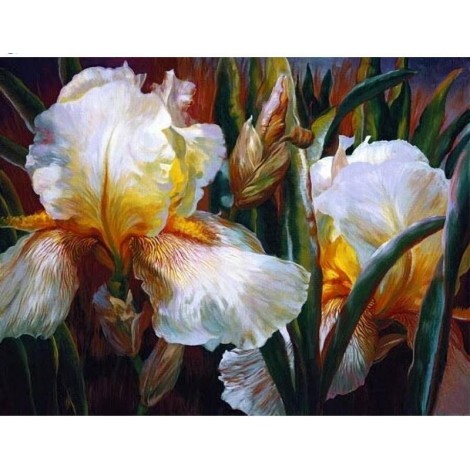 White Iris Flower 5D DIY Paint By Diamond Kit