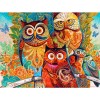 Colorful Owls 5D DIY Paint By Diamond Kit