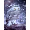 Snow Owl 5D DIY Paint By Diamond Kit