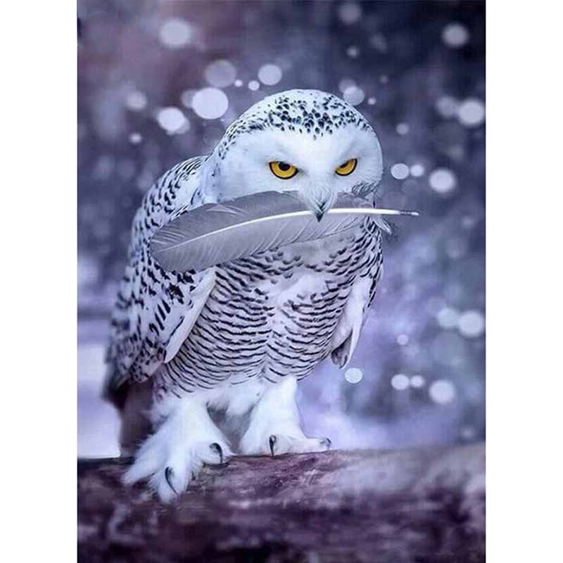 Snow Owl 5D DIY Pain...