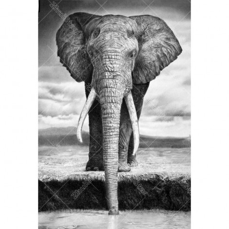 Wrinkles Elephant 5D DIY Paint By Diamond Kit