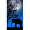 Cross Stitch Night Elephant 5D DIY Paint By Diamond Kit