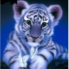 White Tiger Cub 5D DIY Paint By Diamond Kit