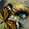 Butterfly on the Eye 5D DIY Paint By Diamond Kit