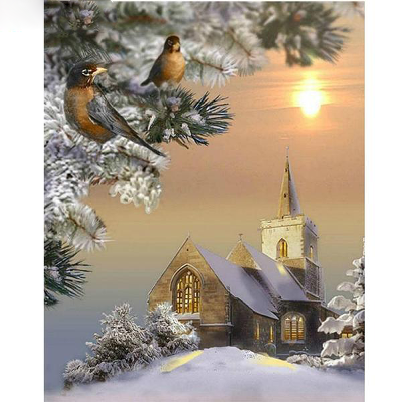 Scenic Birds Snow La...