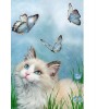 Cat & Butterflies 5D DIY Paint By Diamond Kit