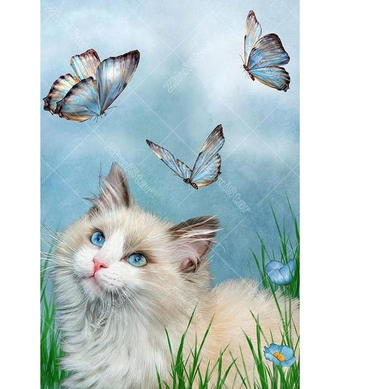Cat & Butterflie...