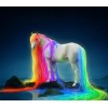 Color horse 5D DIY Diamond Painting