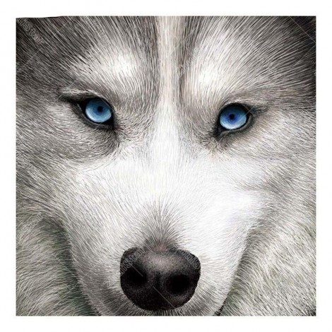 Wolf Dog 5D DIY Paint By Diamond Kit