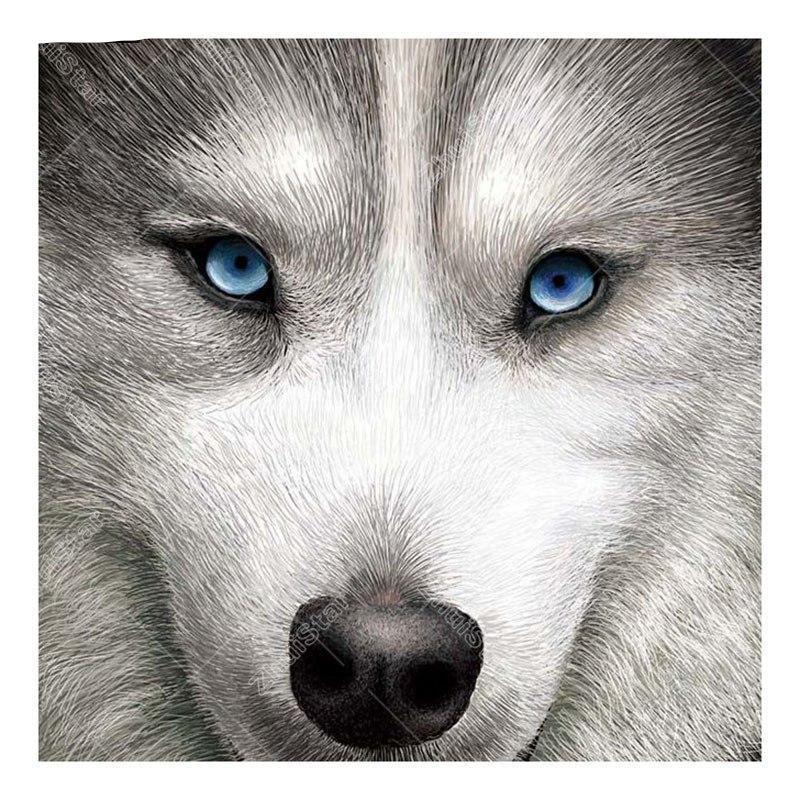 Wolf Dog 5D DIY Pain...