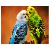 Parrot Picture of Resin 5D DIY Paint By Diamond Kit