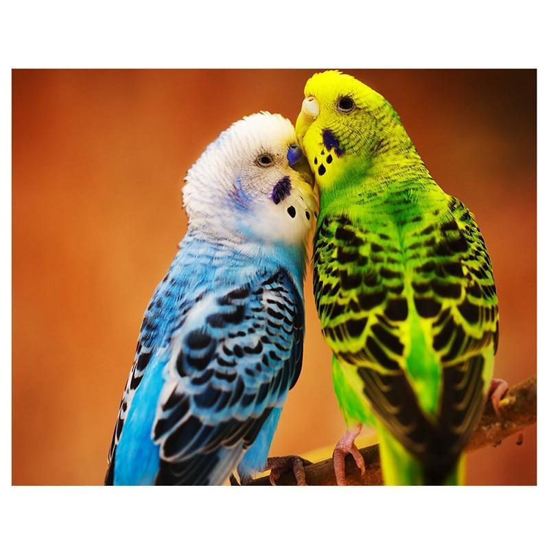 Parrot Picture of Re...