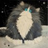 Cat in Shock 5D DIY Paint By Diamond Kit