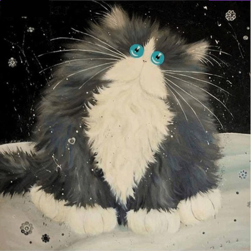 Cat in Shock 5D DIY ...