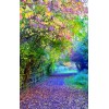 Spring colors 5D DIY Diamond Painting