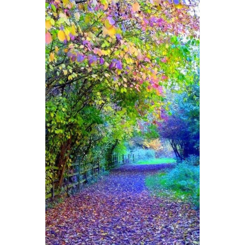 Spring colors 5D DIY...