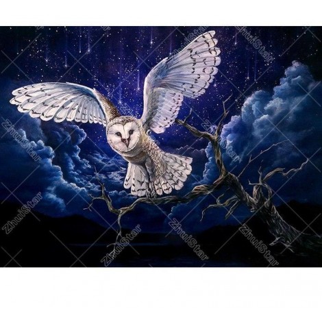 Flying Owl 5D DIY Paint By Diamond Kit