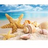 Sea Shell Starfish Scenery 5D DIY Paint By Diamond Kit