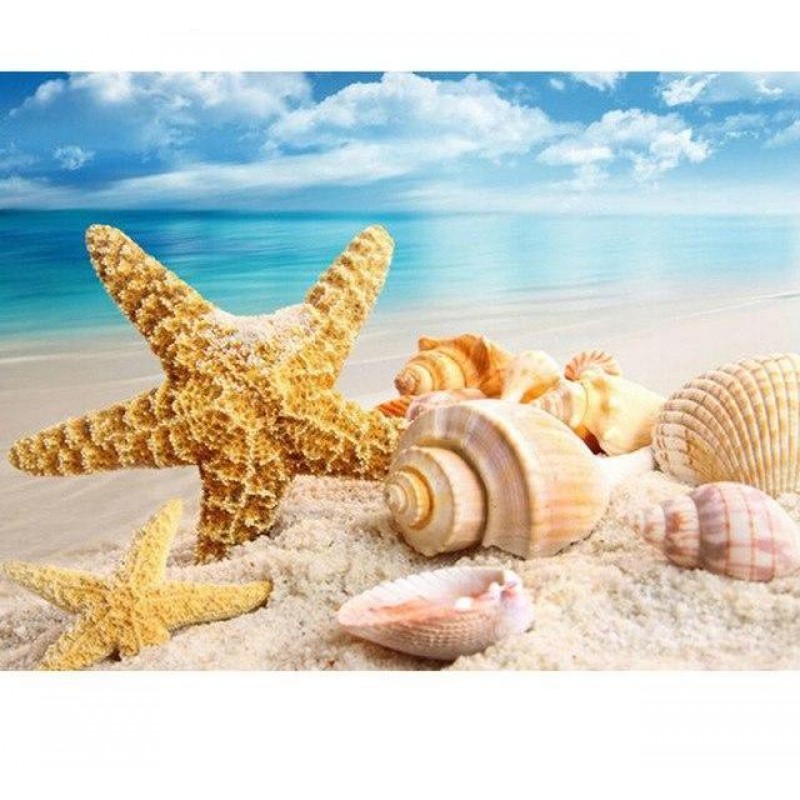Sea Shell Starfish S...