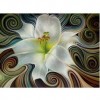 White Swirly Flowers 5D DIY Paint By Diamond Kit