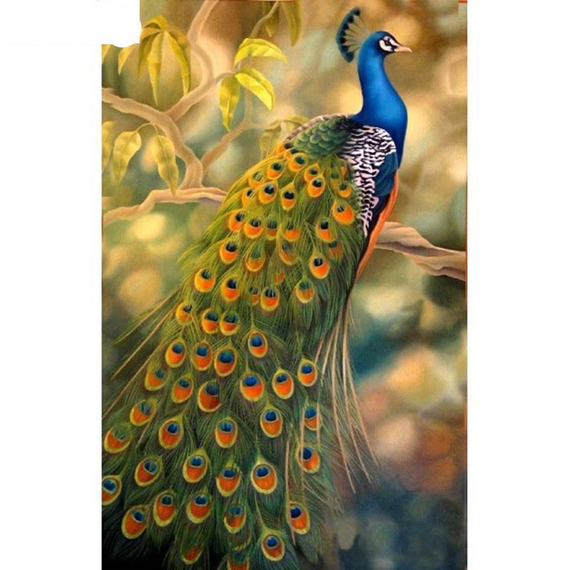 Beautiful Peacock Pa...