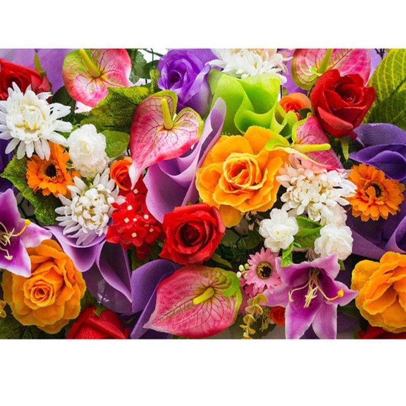 Colorful Rose Flower...