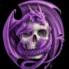 Skull and Dragon 5D DIY Paint By Diamond Kit