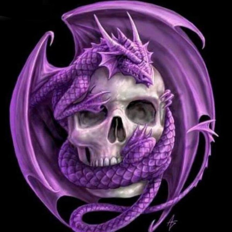 Skull and Dragon 5D ...