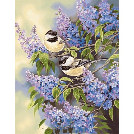 Colored Birds Paint By Diamond Kit