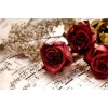 Red Roses & Music Notes 5D DIY Paint By Diamond Kit