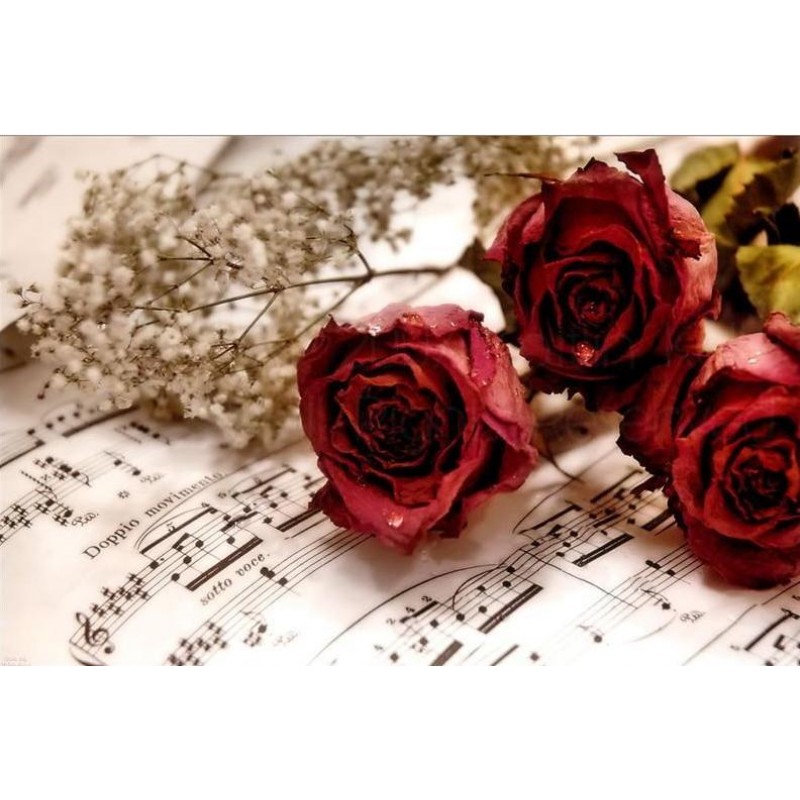 Red Roses & Musi...