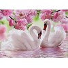 Beautiful Swans 5D DIY Paint By Diamond Kit