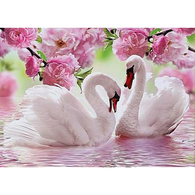 Beautiful Swans 5D D...
