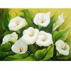Classy White Flower 5D DIY Diamond Painting