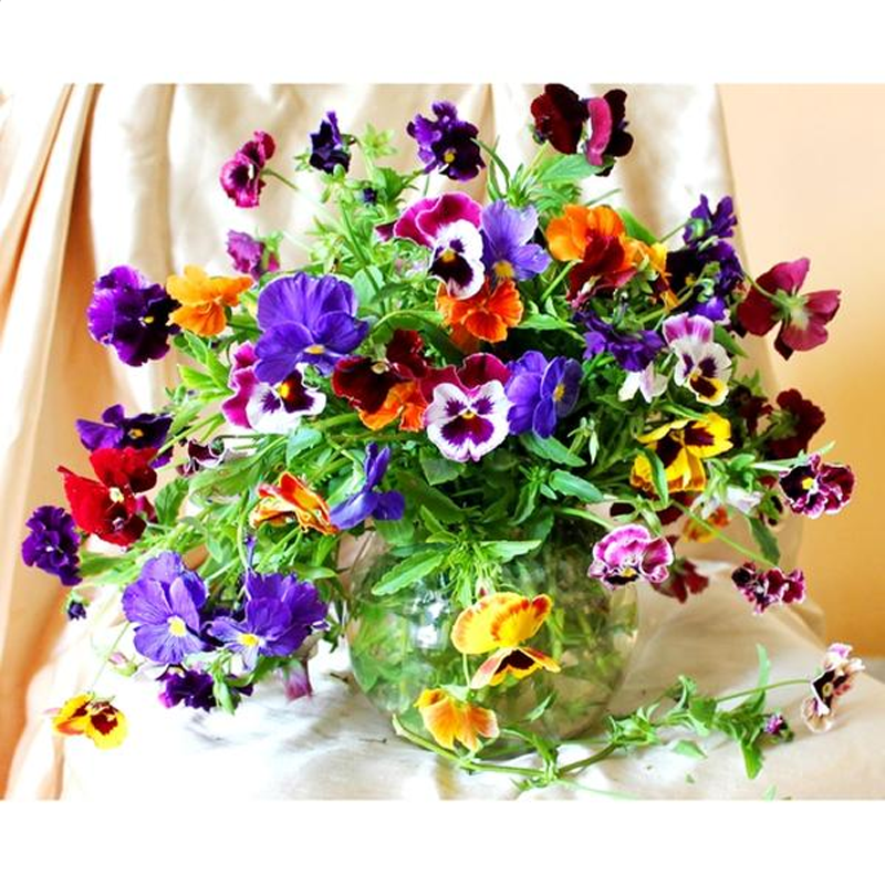 Butterfly Floral 5D ...