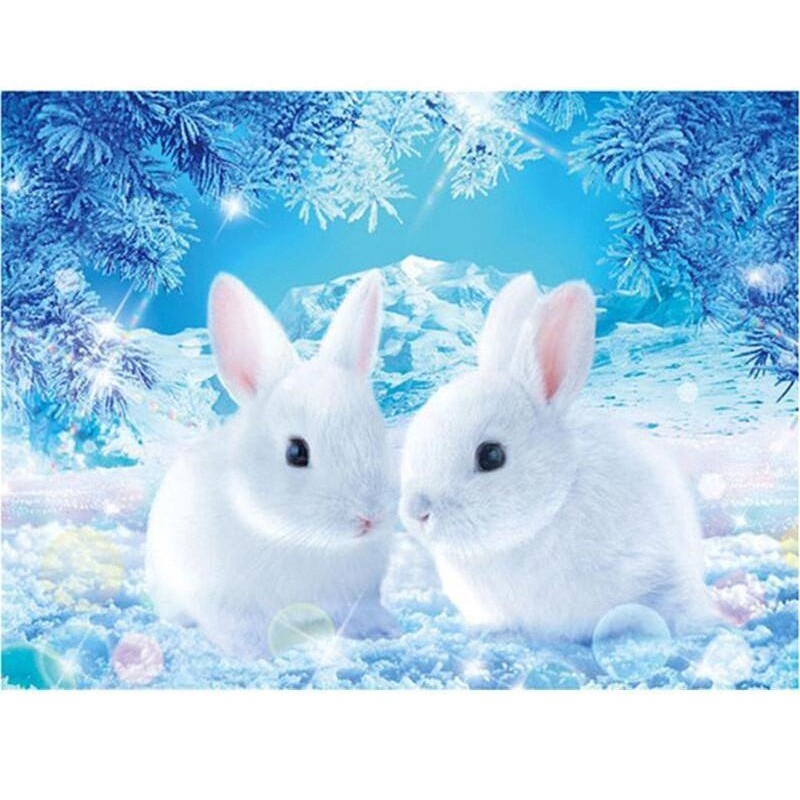 White Rabbit 5D DIY ...