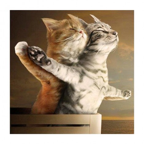 Titanic Cats 5D DIY Paint By Diamond Kit