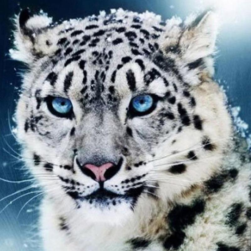 Snow Leopard 5D DIY ...