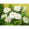 Beautiful White Flowers 5D DIY Paint By Diamond Kit