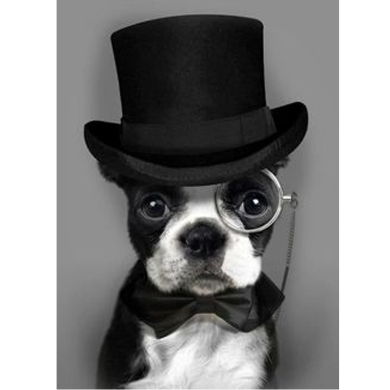 Deep Dog 5D DIY Pain...