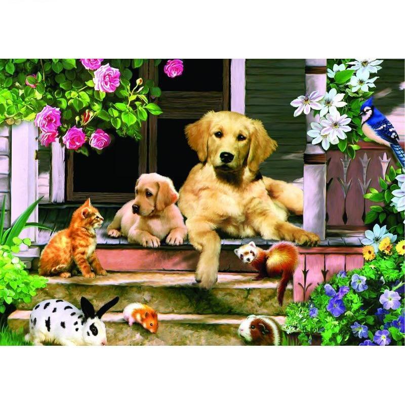 Dog Cat Rabbit Guine...