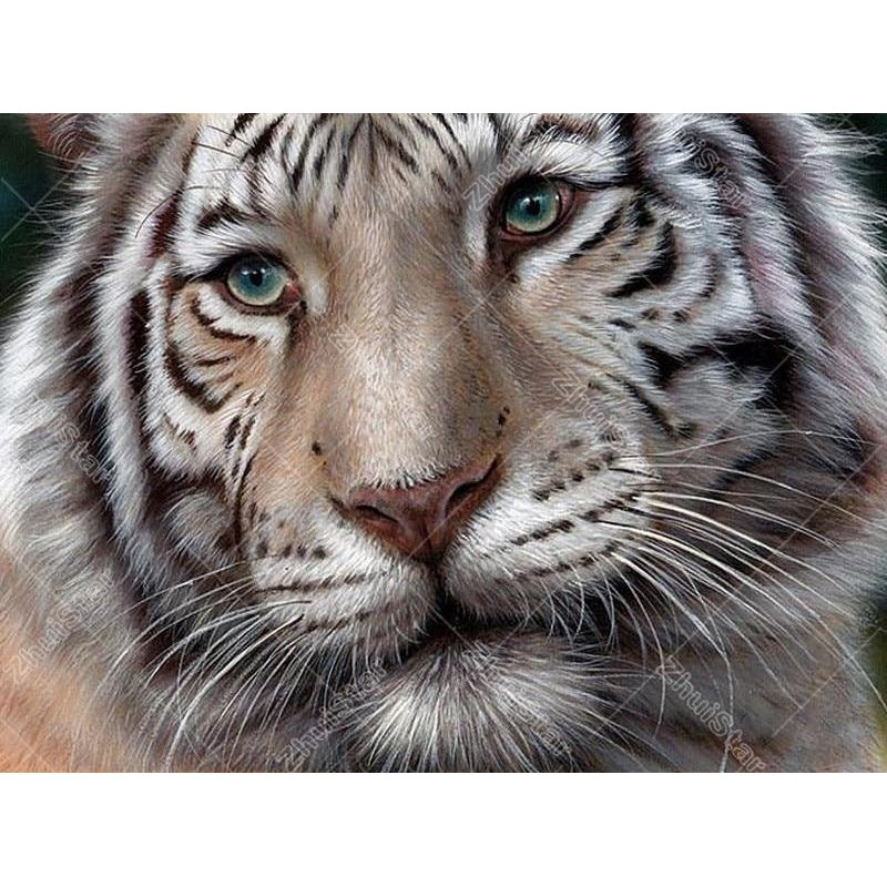 White Tiger 5D DIY P...