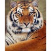 Brave Tiger 5D DIY Paint By Diamond Kit