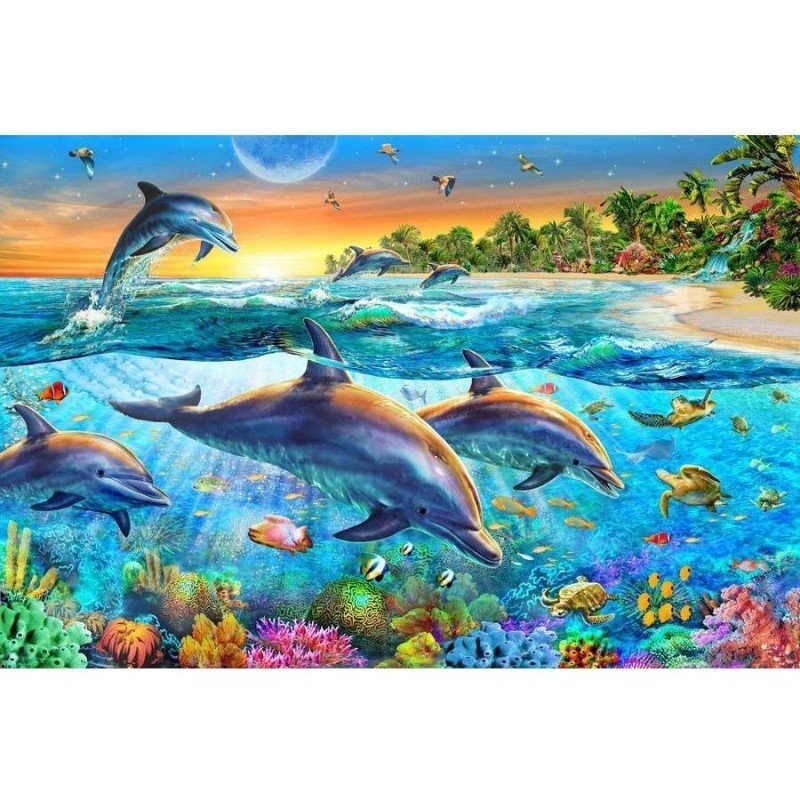 Sea World Dolphin 5D...